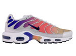 Nike Air Max Plus TN DZ3670 003 Platinum Tint/Black